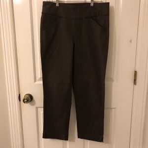 Ladies pants